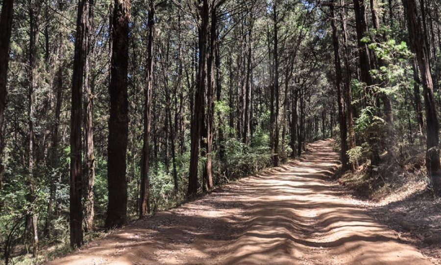 Entoto Hills